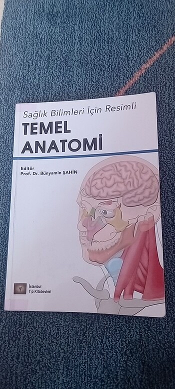 Temel Anatomi 