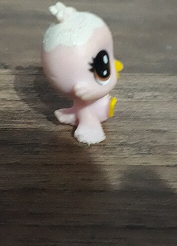 Lps Minişler kuş