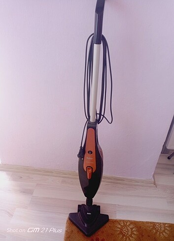 Fakir dik Süpürge 