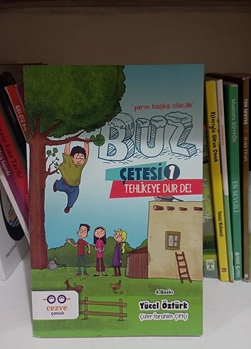 Buz çetesi 