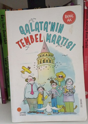 Galata'nın Tembel Martısı - Behiç Ak