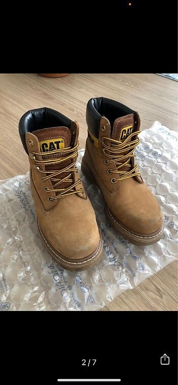 Cat Car tarçın bot