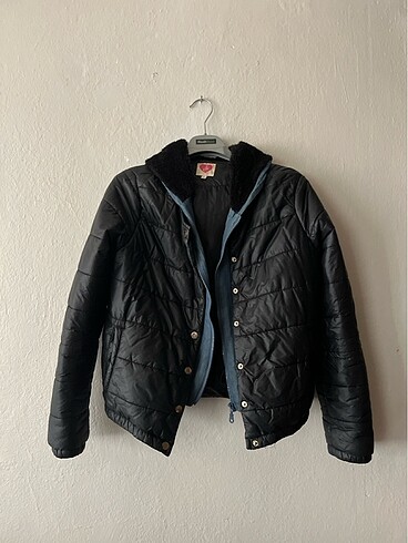 Koton mont