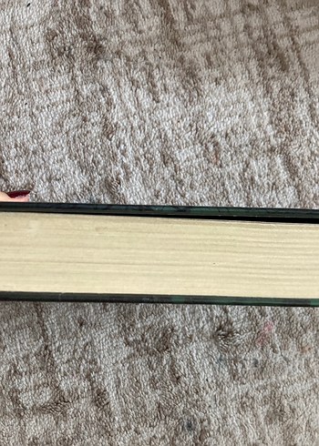 Yaralasar Romanı - Görsel 2