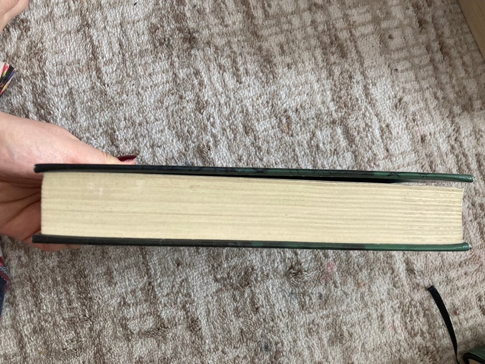 Yaralasar Romanı - Görsel 2