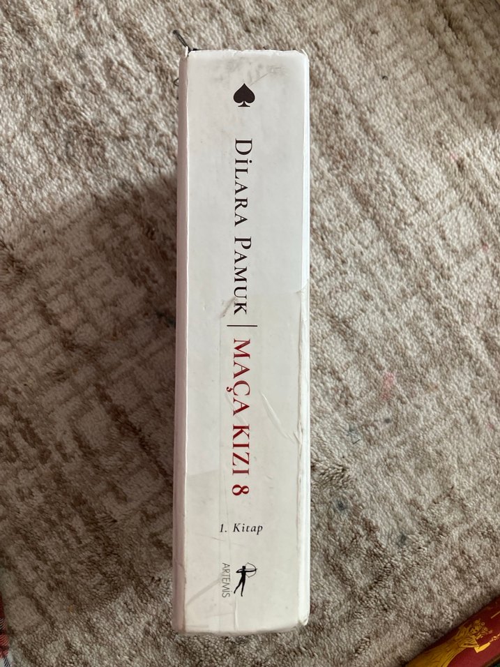 Maça Kızı 8 - Dilara Pamuk 1. Kitap - Görsel 2