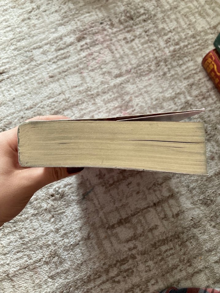 Ay çöregi zeynep sahra - Görsel 2