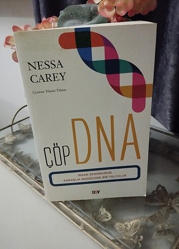 Çöp DNA