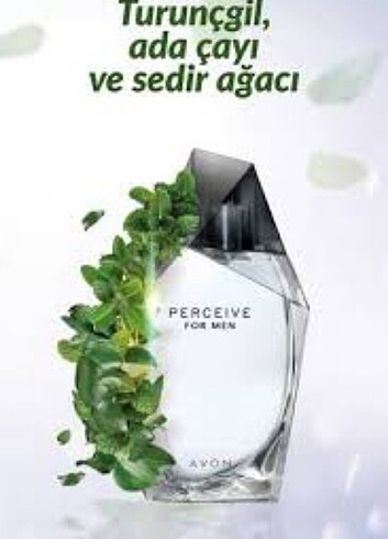  Beden Avon perceıve erkek parfüm 100 ml büyük boy orjinal ürün 