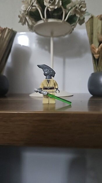 Coleman trebor
