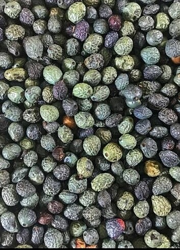 Karaca Menengiç (çitlembik )