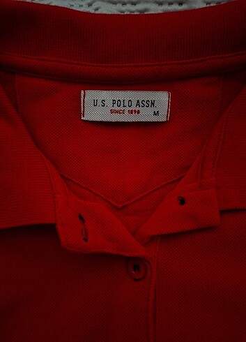 m Beden polo yaka t-shirt
