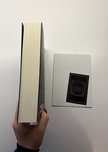 Siyam - Beyza Aksoy Roman - Görsel 2