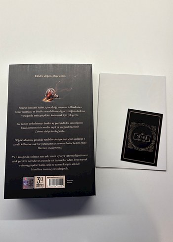 Siyam - Beyza Aksoy Roman - Görsel 3