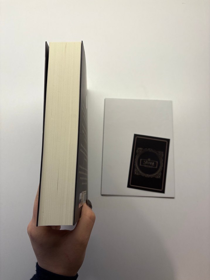 Siyam - Beyza Aksoy Roman - Görsel 2