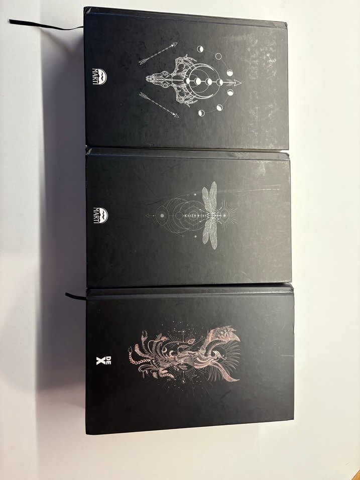 Iordlar ve Varisler Roman Seti - Görsel 2