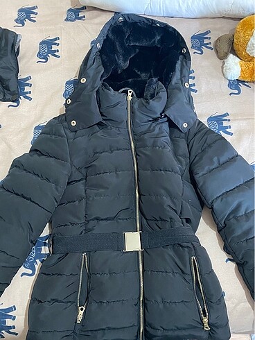 Stradivarius mont