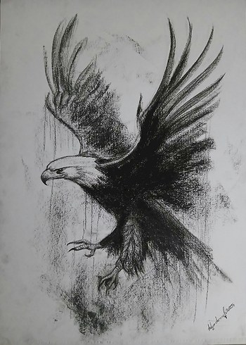Kömürkalem Kartal Çizimi