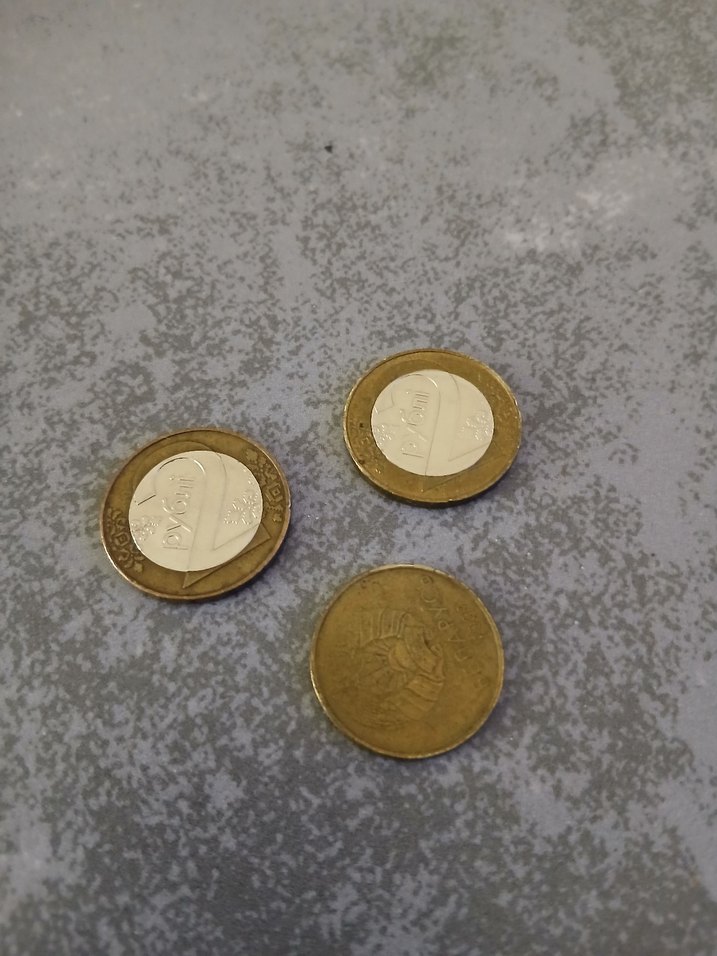 Rus Madeni Coinler 4 Ruble 50 Kapik - Görsel 2