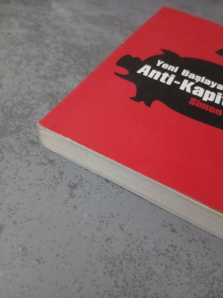 Yeni Başlayanlar İçin Anti-Kapitalizm - Simon Tormey - Görsel 3