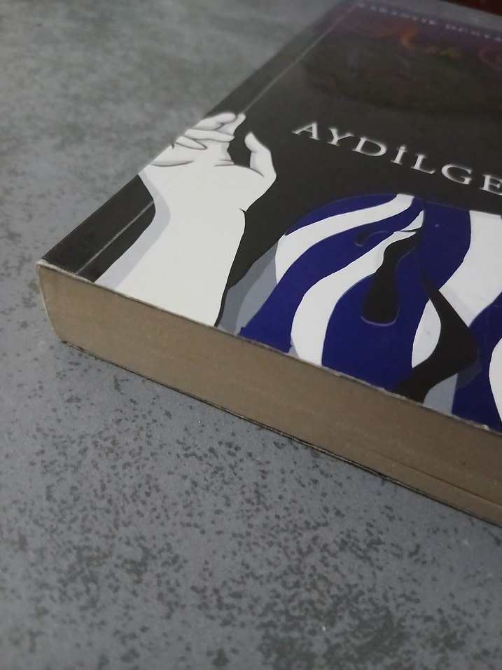 Aşk Notası - Aydilge - Görsel 3