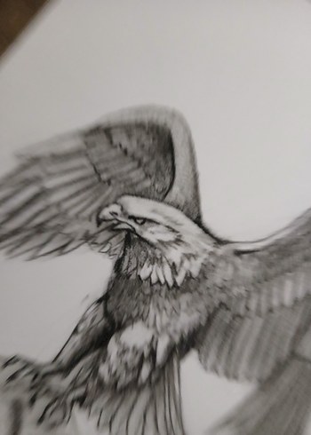 Kartal Çizimi - Mitoloji Temalı Sanat - Görsel 4