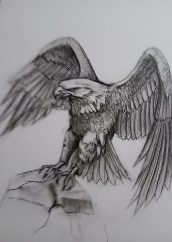 Kartal Çizimi - Mitoloji Temalı Sanat - Görsel 3