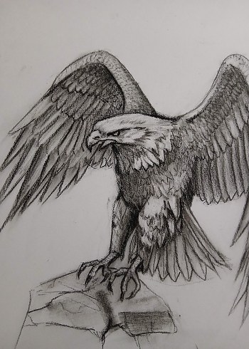 Kartal Çizimi - Mitoloji Temalı Sanat - Görsel 2