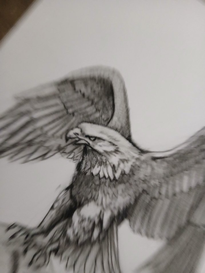 Kartal Çizimi - Mitoloji Temalı Sanat - Görsel 4