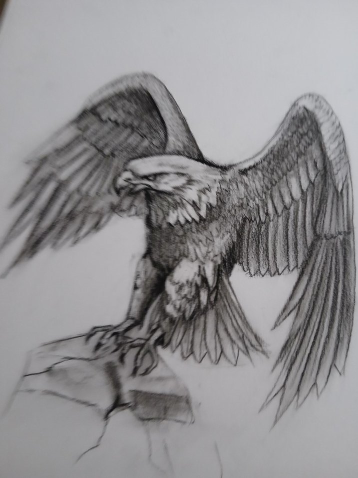 Kartal Çizimi - Mitoloji Temalı Sanat - Görsel 3