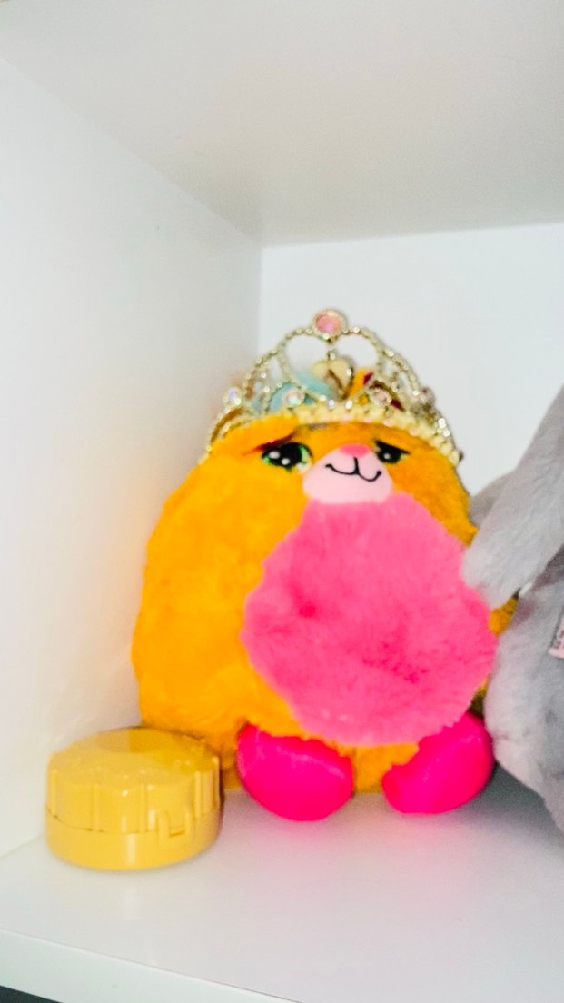 Misfittens Peluş Kedi Özel Kutusunda - Görsel 2