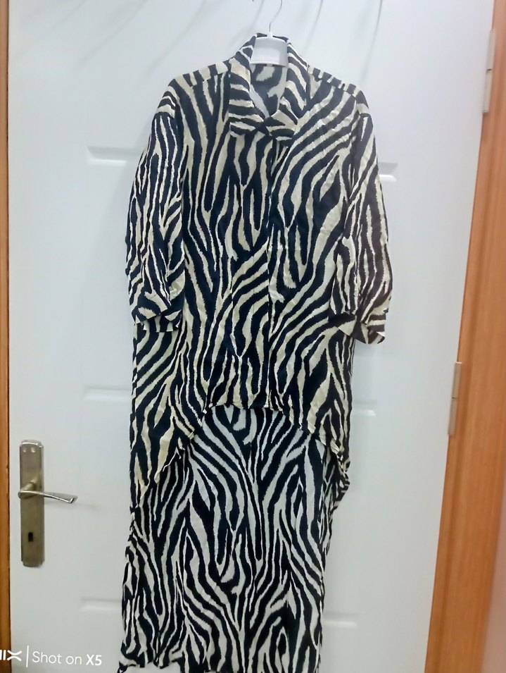 Zebra Desenli Uzun Kollu Kadın Gömlek - Görsel 2