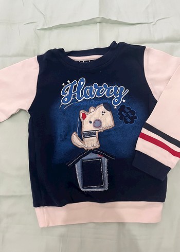 Baskılı Erkek Sweatshirt