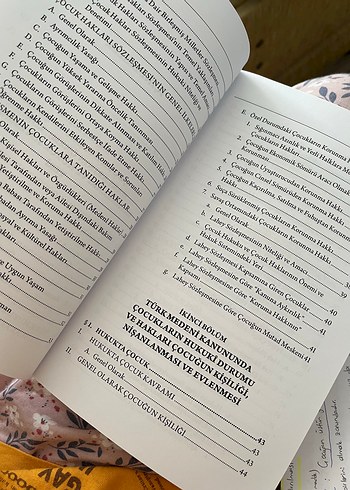 Çocuk Hukuku Ders Kitabı - Prof. Dr. Hayrunnisa Özdemir - Görsel 6