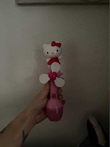 Hello kitty pervane:)