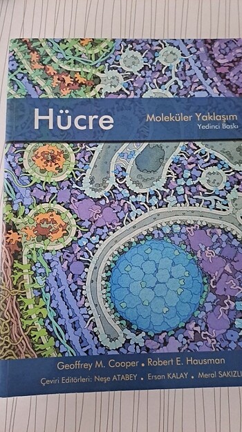 Hücre moleküler yaklaşım