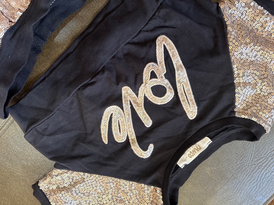 Parlak Payetli Siyah Köpek Elbisesi - Görsel 4