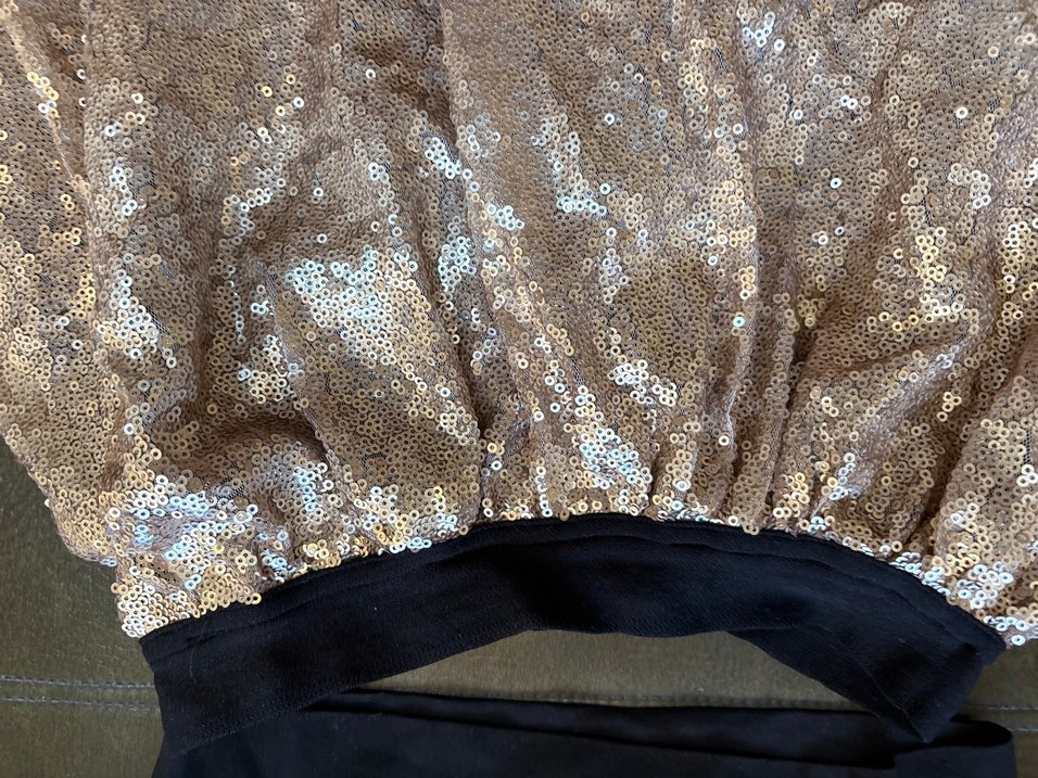 Parlak Payetli Siyah Köpek Elbisesi - Görsel 5