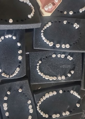 fantom diş - Görsel 3