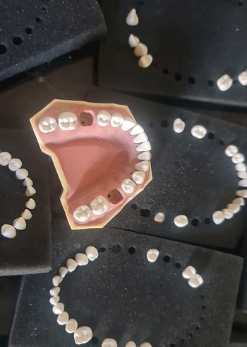 fantom diş - Görsel 2