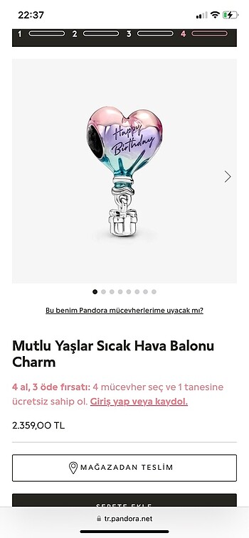Pandora Pandora charm