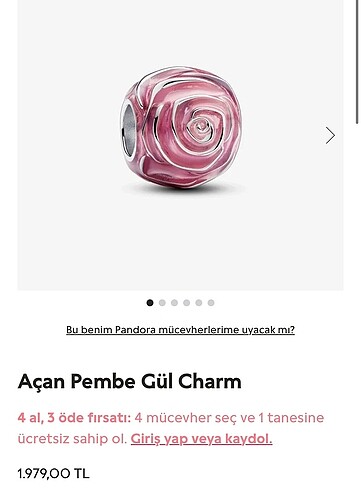 Pandora charm