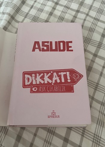 Dikkat! Aşk Çıkabilir - Asude