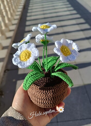 Amigurumi /papatya /saksılı çiçek/örgü çiçek