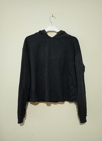 Sweetshirt 