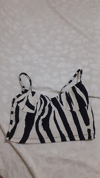 Zebra desenli crop