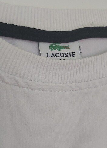 Lacoste Lacoste Unisex Tshirt