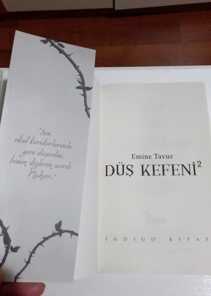 İndigo yayınları Düş Kefeni 2 - Görsel 2
