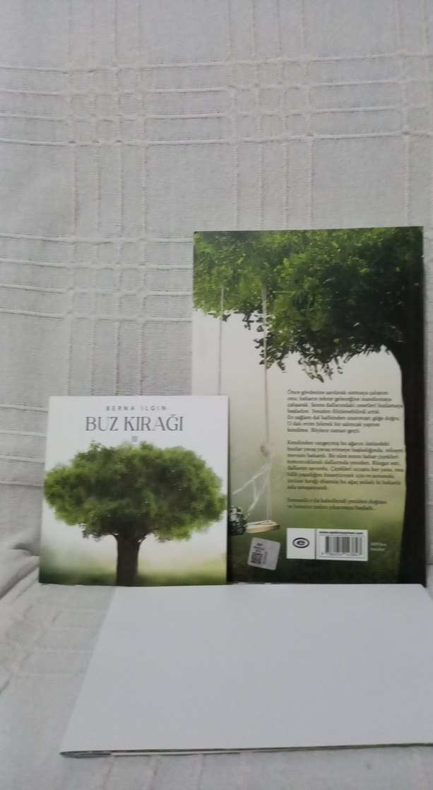 Buz Kırağı 3 - Berna Ilgın - Görsel 2