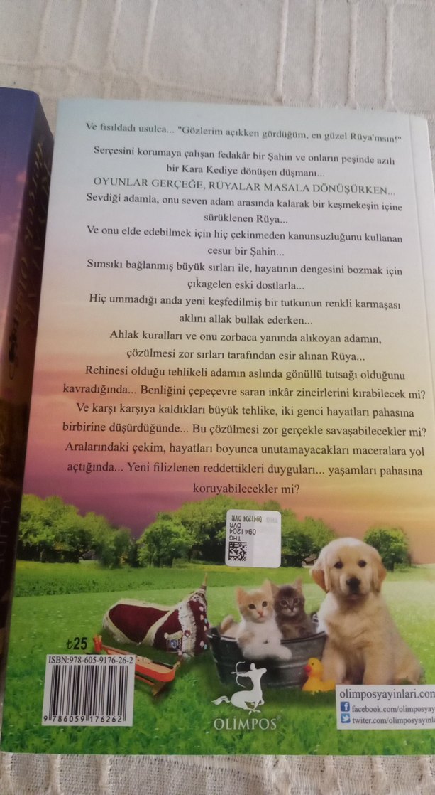 Rüyalar Gerçek Olsa - Müjde Aklanoğlu - Görsel 3